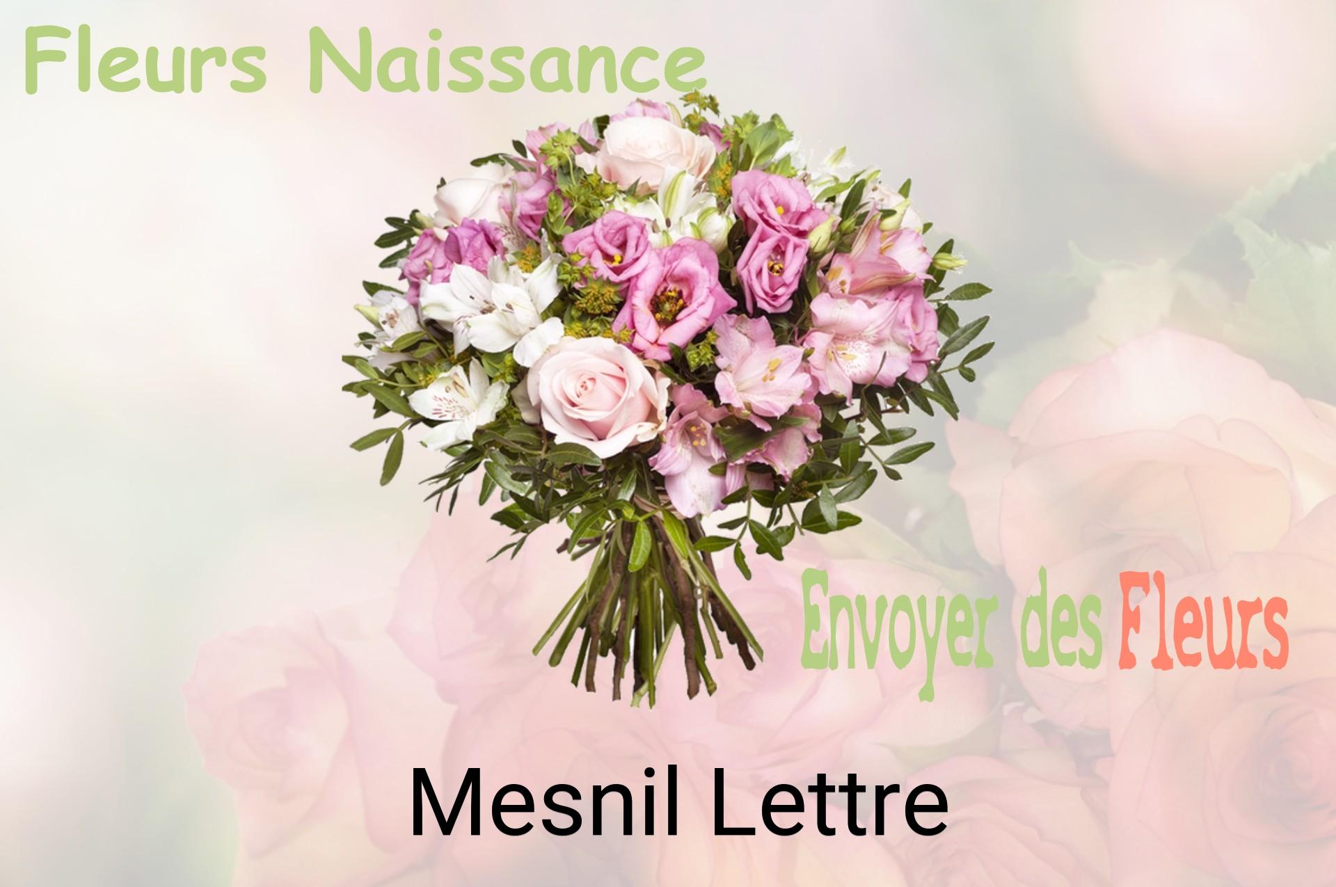 Bouquet de fleurs de naissance livré à Mesnil-Lettre